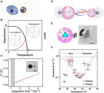 Hybrid quantum sensing in diamond